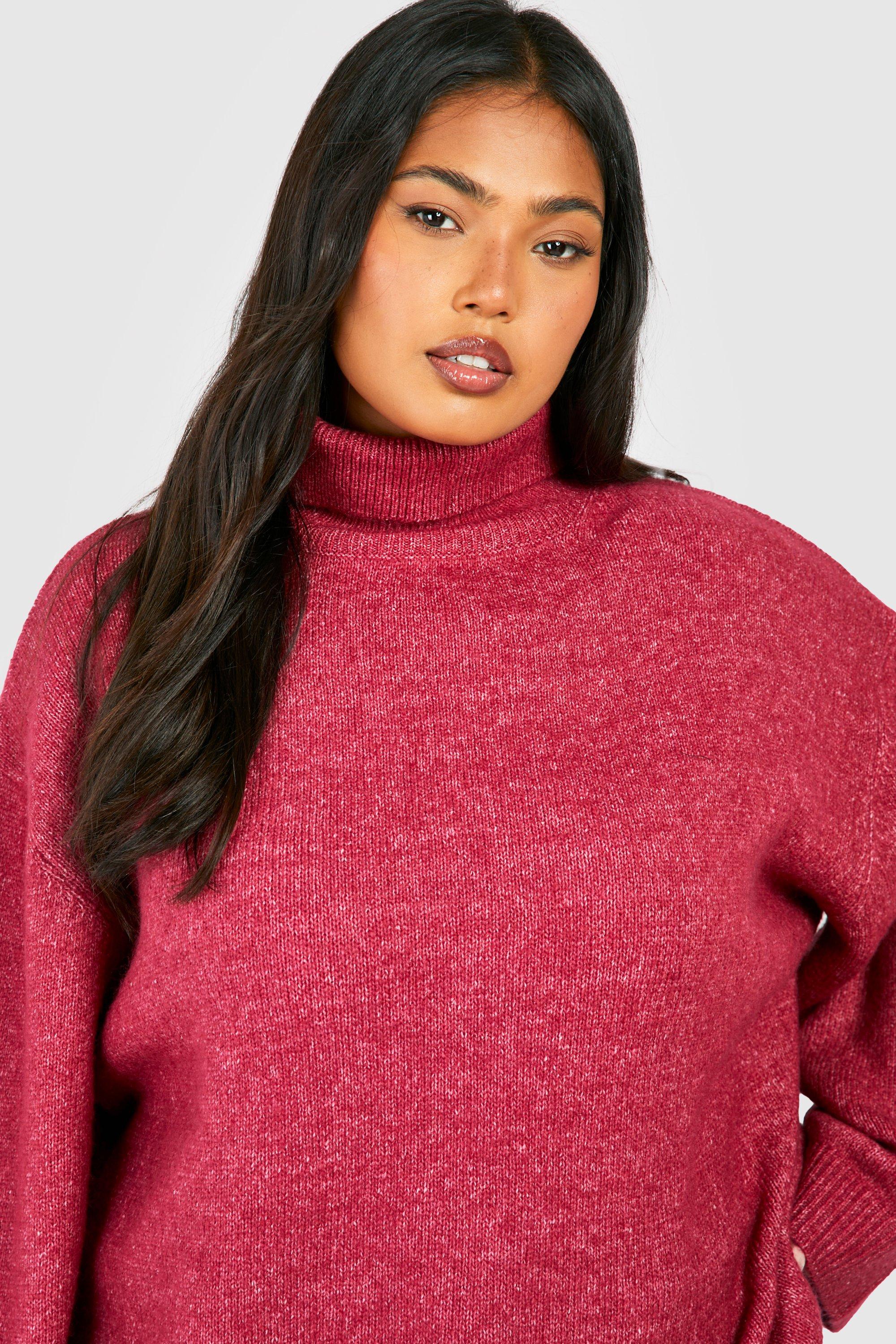 Grande taille Pull col roul