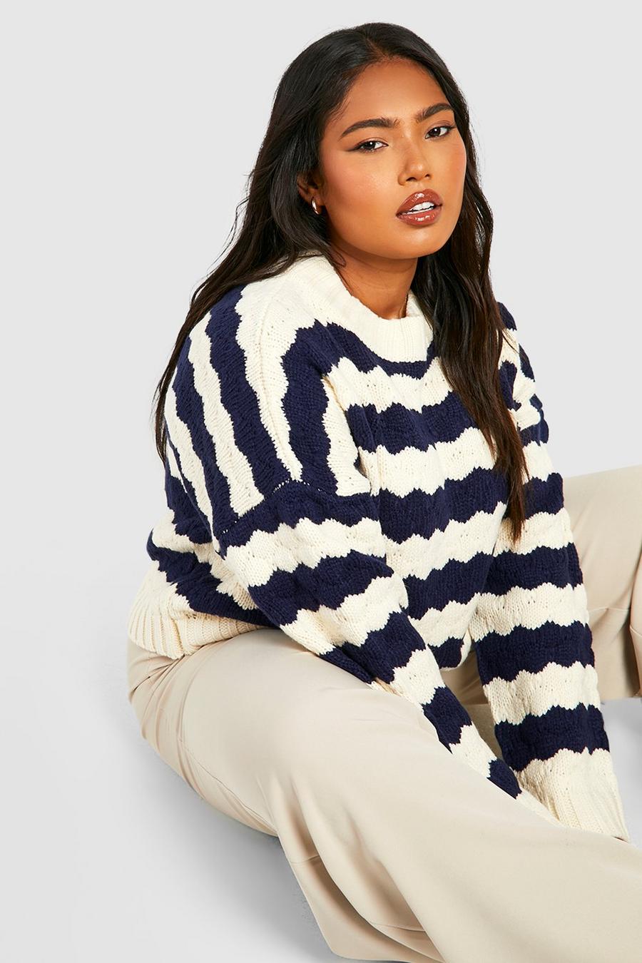 Navy Plus Chunky Stripe Sweater image number 1