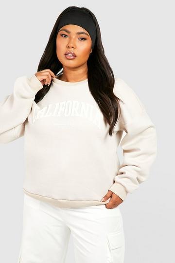 Plus Varsity Puff Print Sweatshirt stone