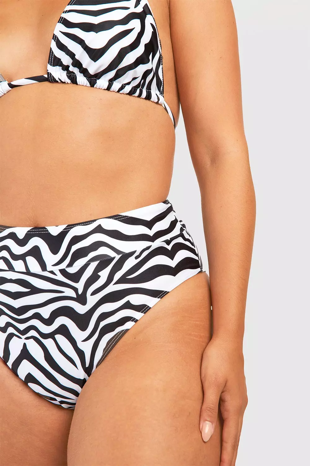 Black Plus Zebra Print High Waisted Bikini Brief alternative image