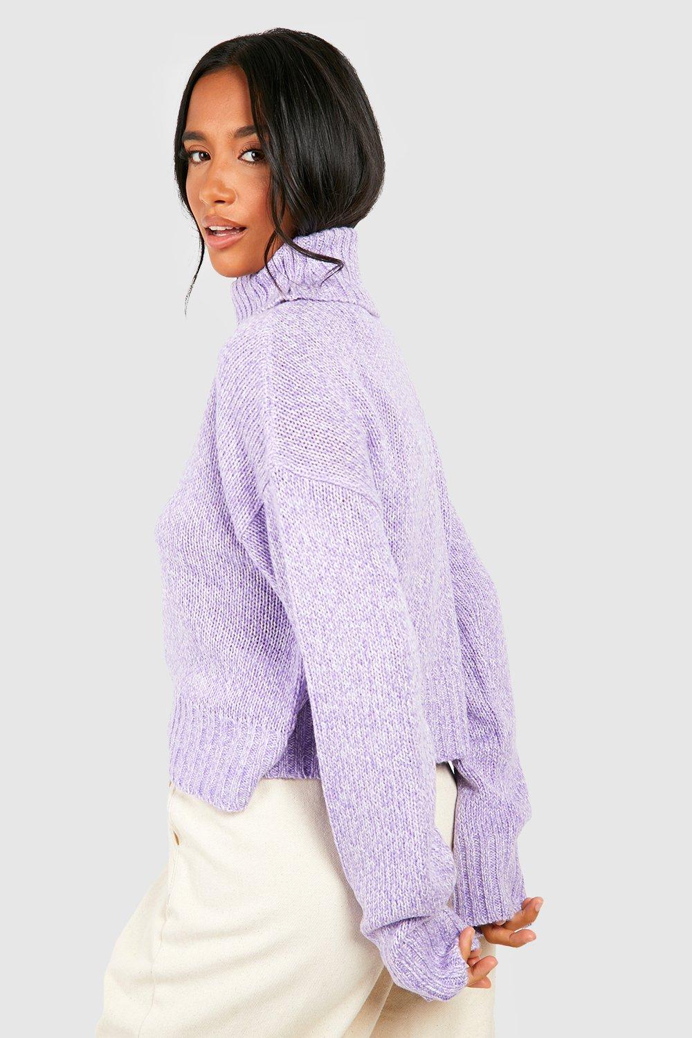 Buy Women's Pastel Lilac High Neck Oversized Crop Sweater Online