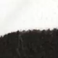 black color