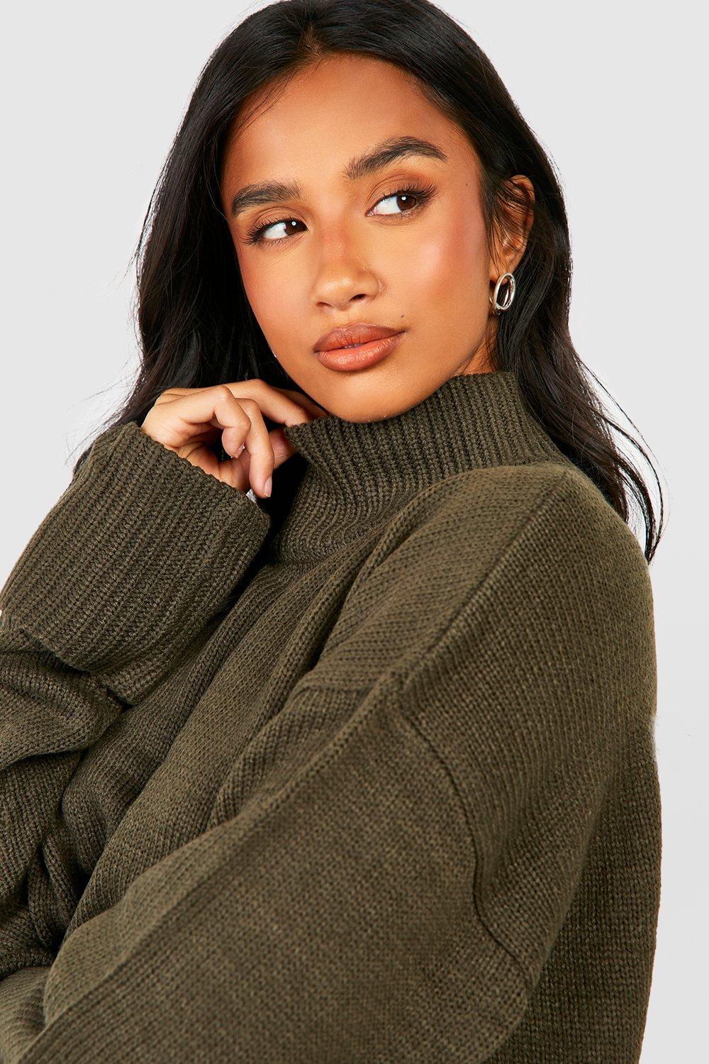 Petite Turtle Neck Fisherman Knit Jumper boohoo IE