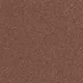 taupe color