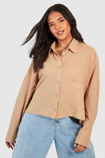 Stone Beige Plus Stripe Boxy Crop