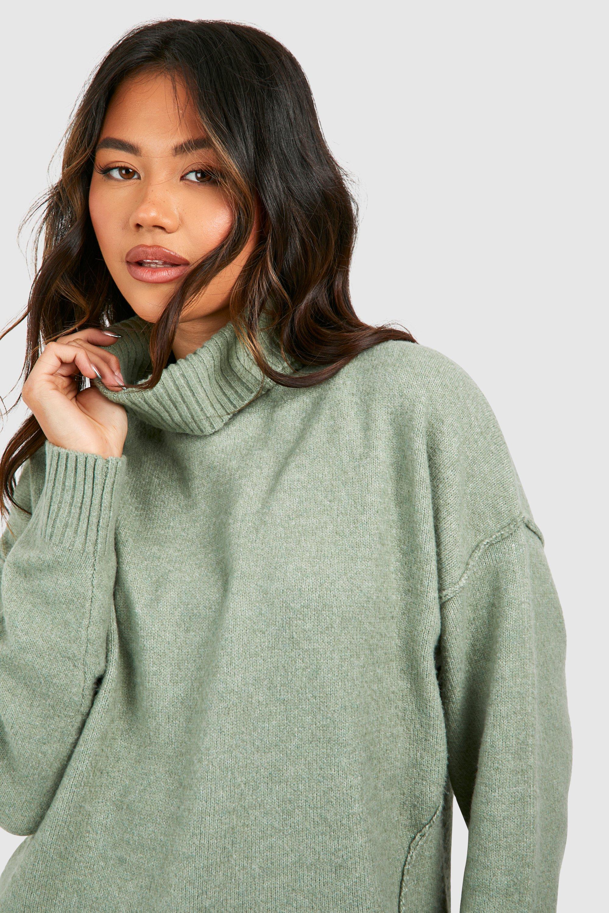 Large roll hotsell neck jumper