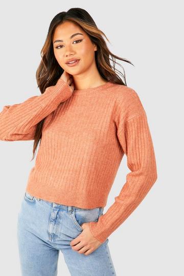 Camel Beige Soft Rib Knit Crop Sweater