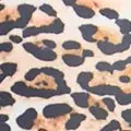 leopard color