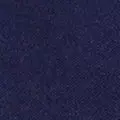 navy color