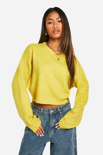 Soft Knit Crew Neck Crop Sweater olive