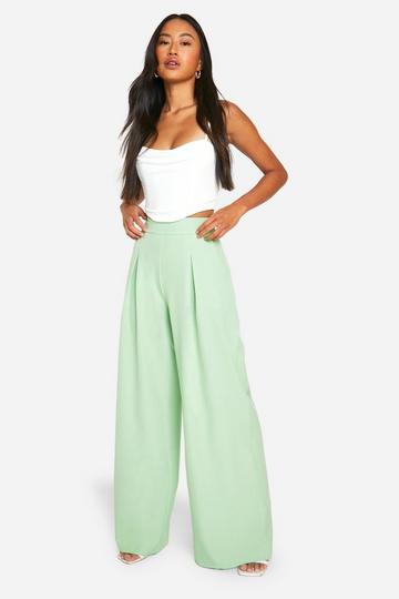 Linen Look Pleat Front Wide Leg Pants mint