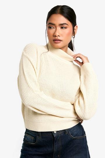 Stone Beige Basic Roll Neck Crop Jumper