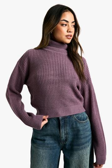 Basic Roll Neck Crop Jumper purple