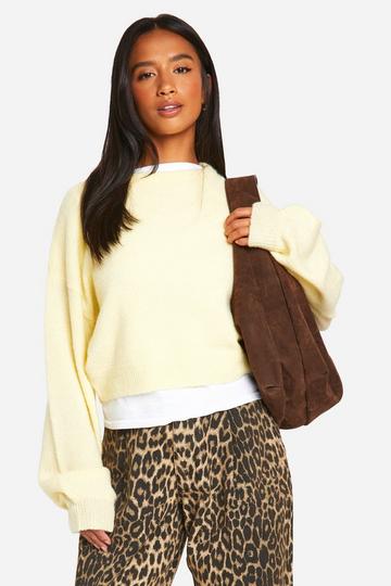 Petite Soft Knit Crew Neck Crop Sweater butter