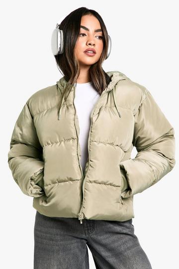 Hooded Short Puffer sage