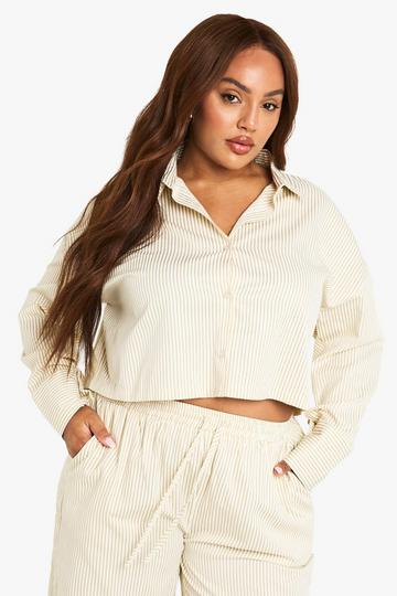 Stone Beige Plus Boxy Cropped Stripe Shirt