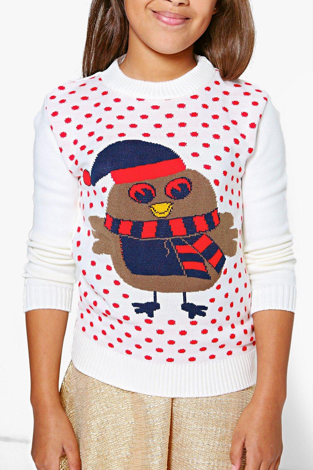 Ladies robin outlet christmas jumper