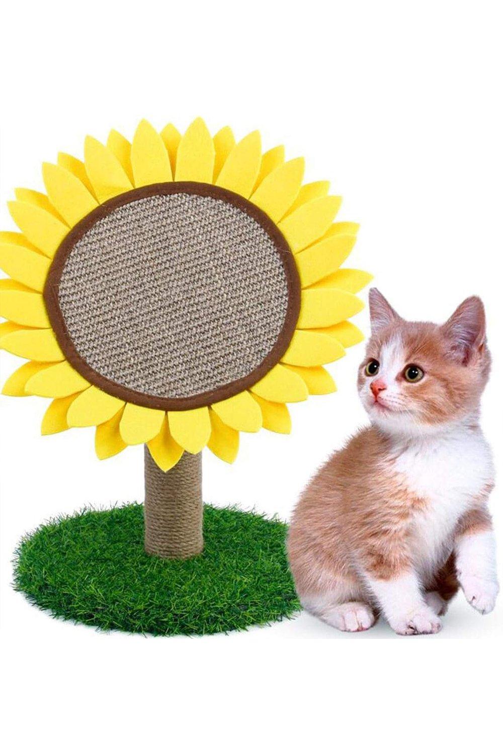 Sunflower Cat Scratcher Tranet Biologia Ufrj Br