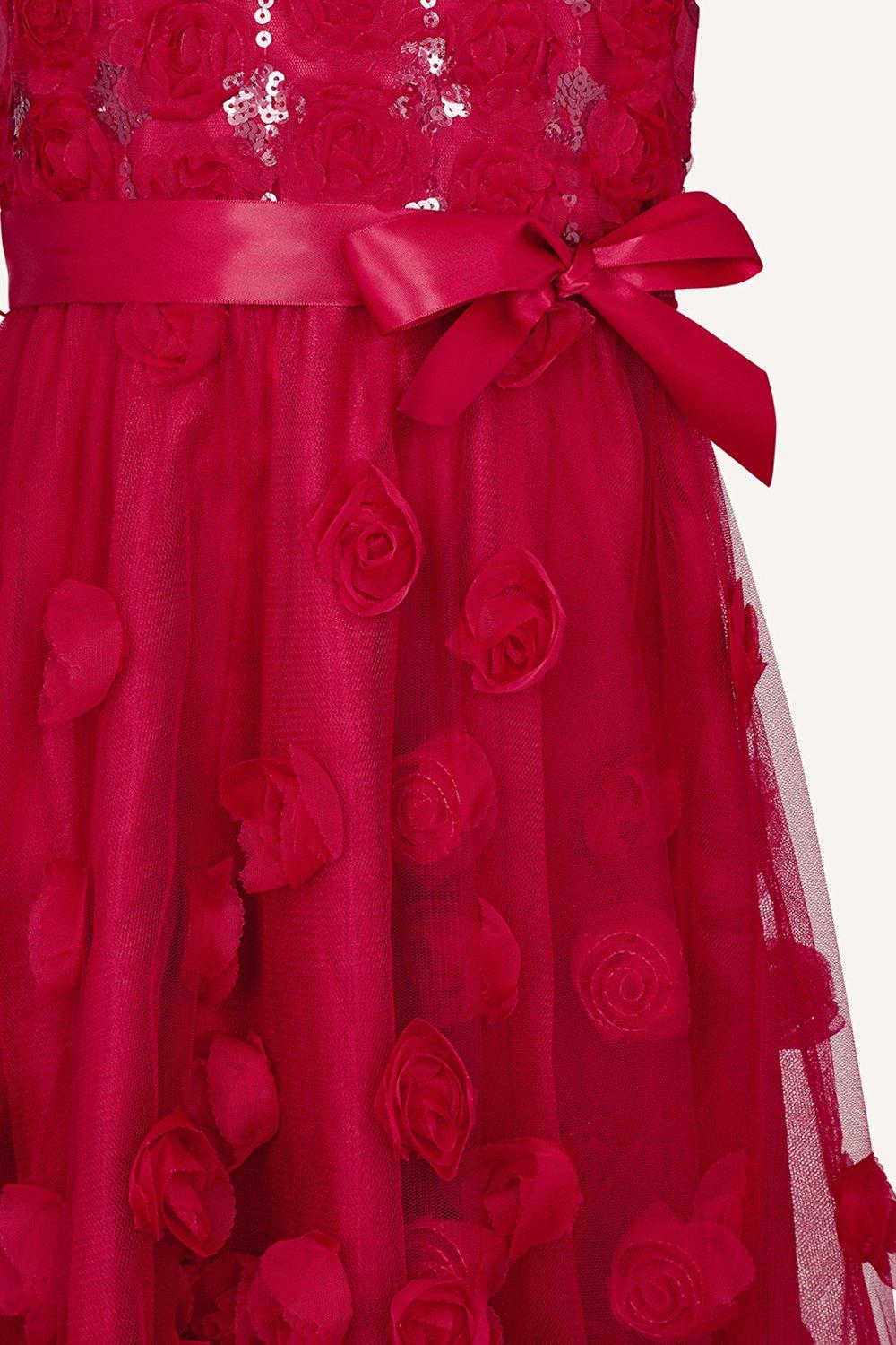 ianthe sparkle dress monsoon
