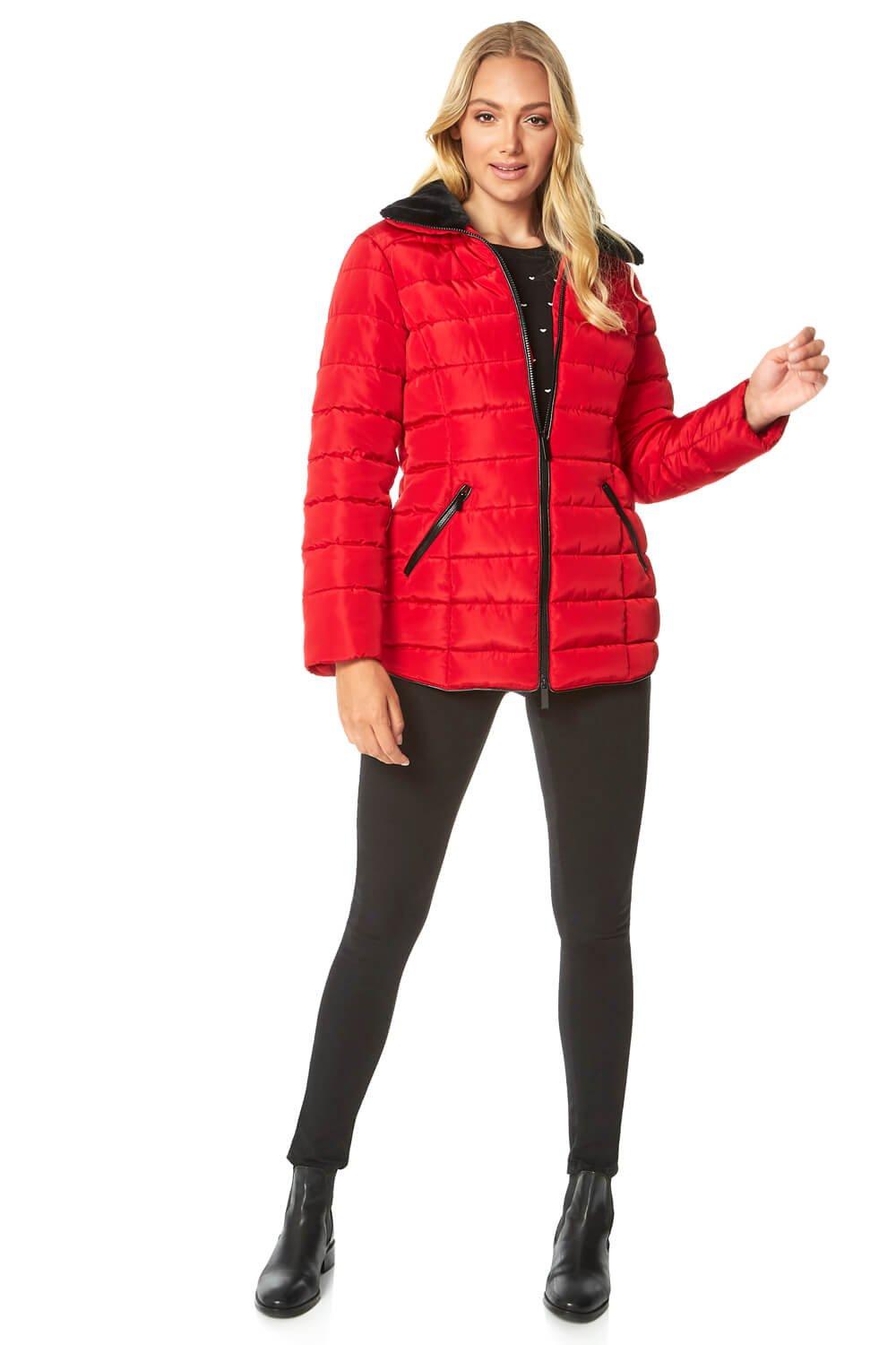 ladies padded jackets debenhams