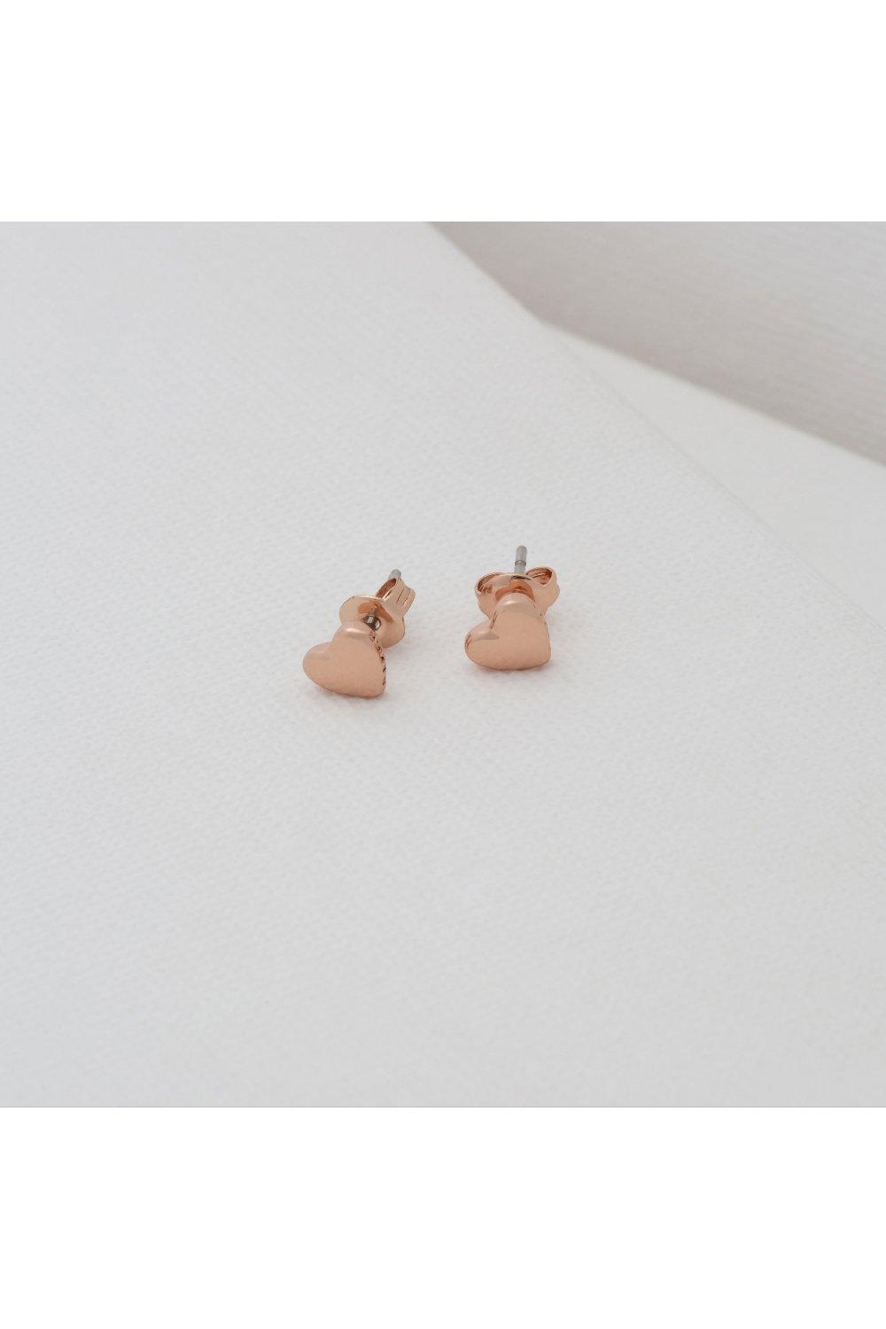 debenhams ted baker earrings