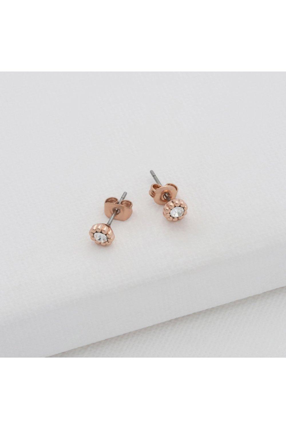 ted baker earrings debenhams