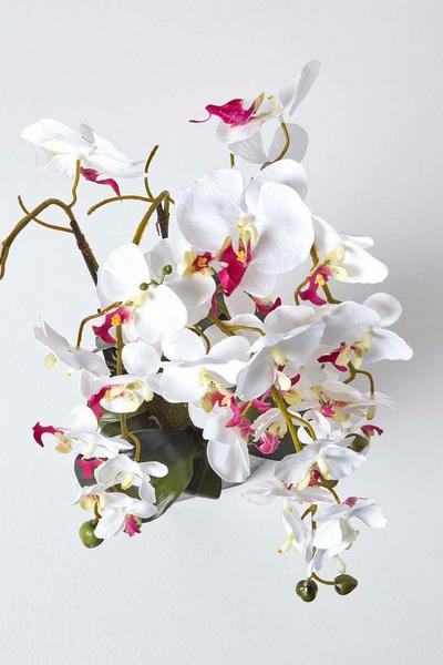 Homescapes White Artificial Flowers White Orchid in a Black Pot, 70 cm