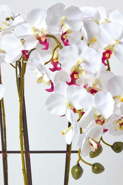 Homescapes White Artificial Flowers White Orchid in a Black Pot, 70 cm