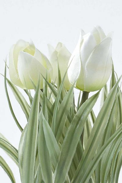 Homescapes White Artificial Tulips in White Decorative Pot, 22 cm Tall