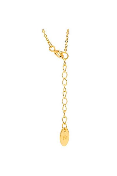 Pure Luxuries London Gold Gift Packaged 'Fontaine' 18ct Yellow Gold Plated 925 Silver & Cubic Zirconia Heart Pendant Necklace
