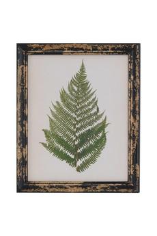 Hill Interiors Brown Rustic Framed Botanical Fern Picture