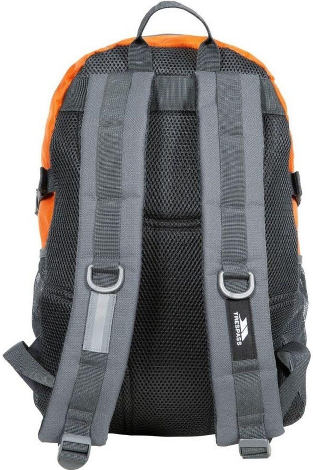debenhams ladies backpack bags