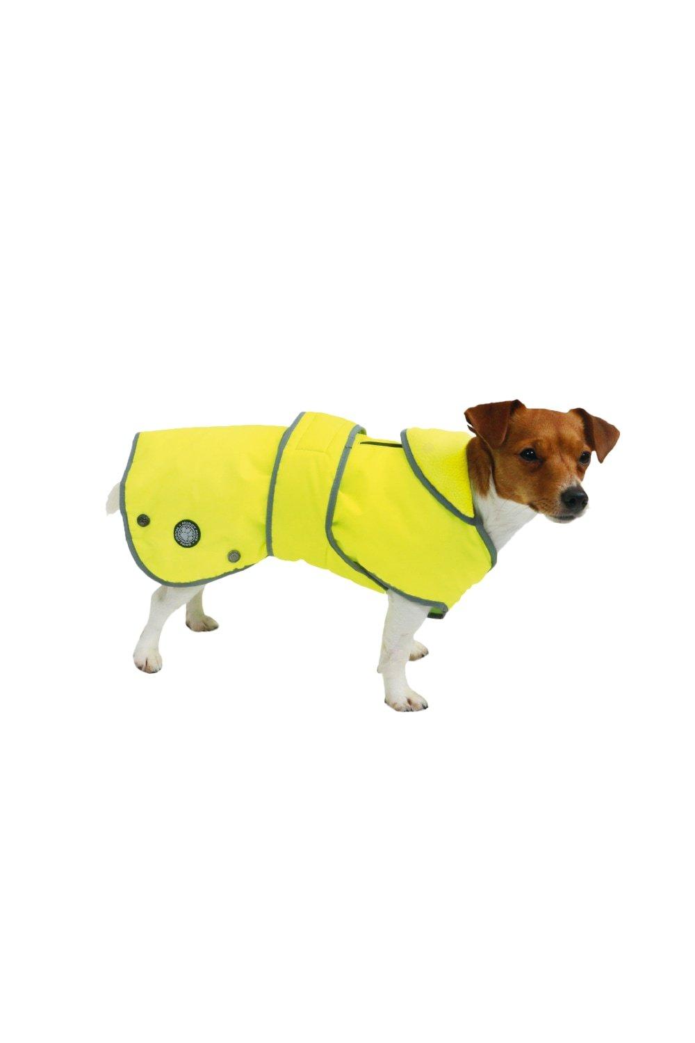 debenhams dog coat