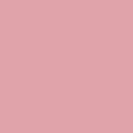 Pink Lover - Valentine