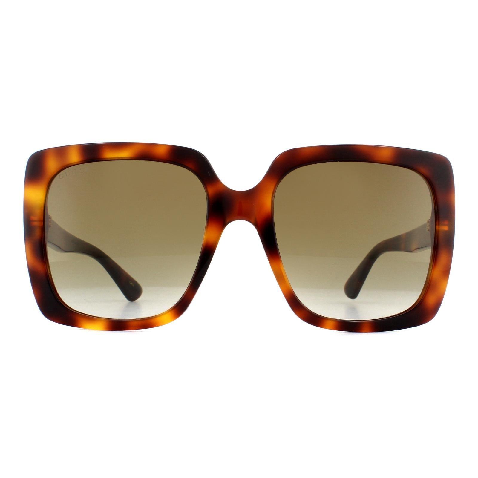 Sunglasses Square Havana Brown Gradient Sunglasses | Gucci