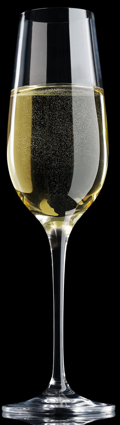 Maxwell & Williams Clear Vino Set of 6 180ml Flute Glasses