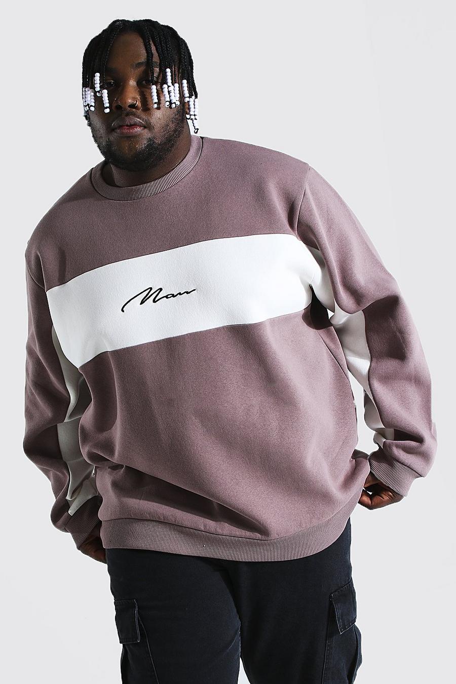 Plus Size Sweatshirt mit Colorblock und MAN-Schriftzug, Taupe image number 1