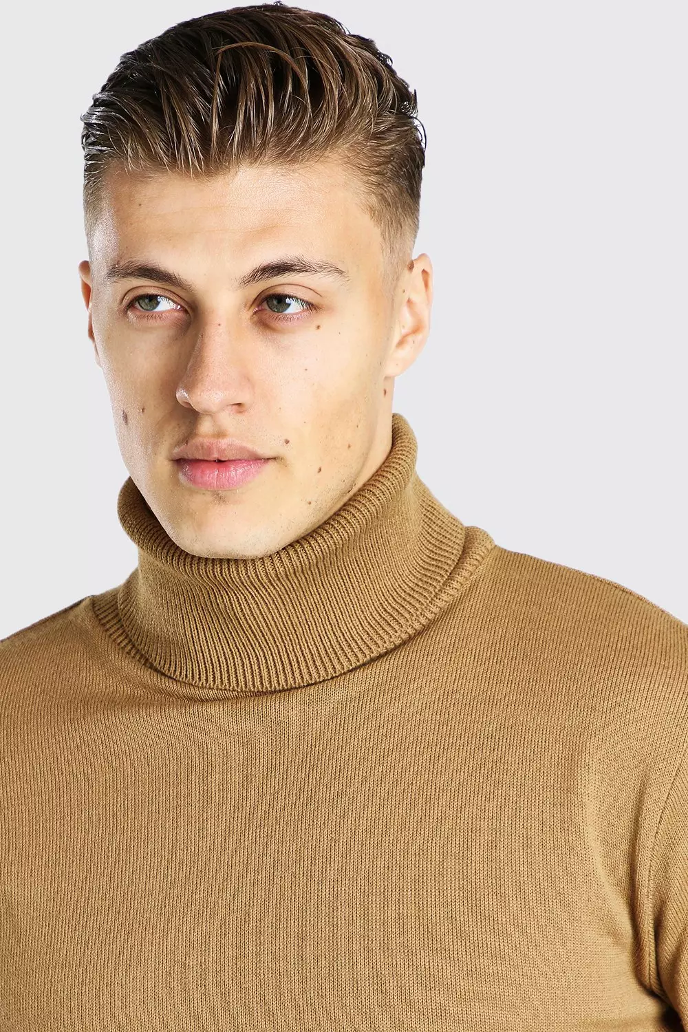 Mens camel roll hot sale neck jumper