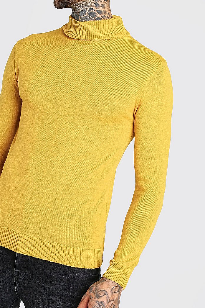 Pull col roulé coupe basique | boohoo Pull col roulé coupe basique | boohoo