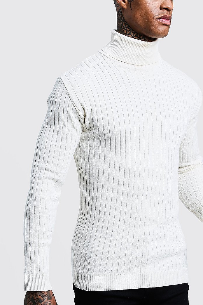 Pull coupe Fit col roulé côtelé à manches longues | boohoo Pull coupe Fit col roulé côtelé à manches longues | boohoo
