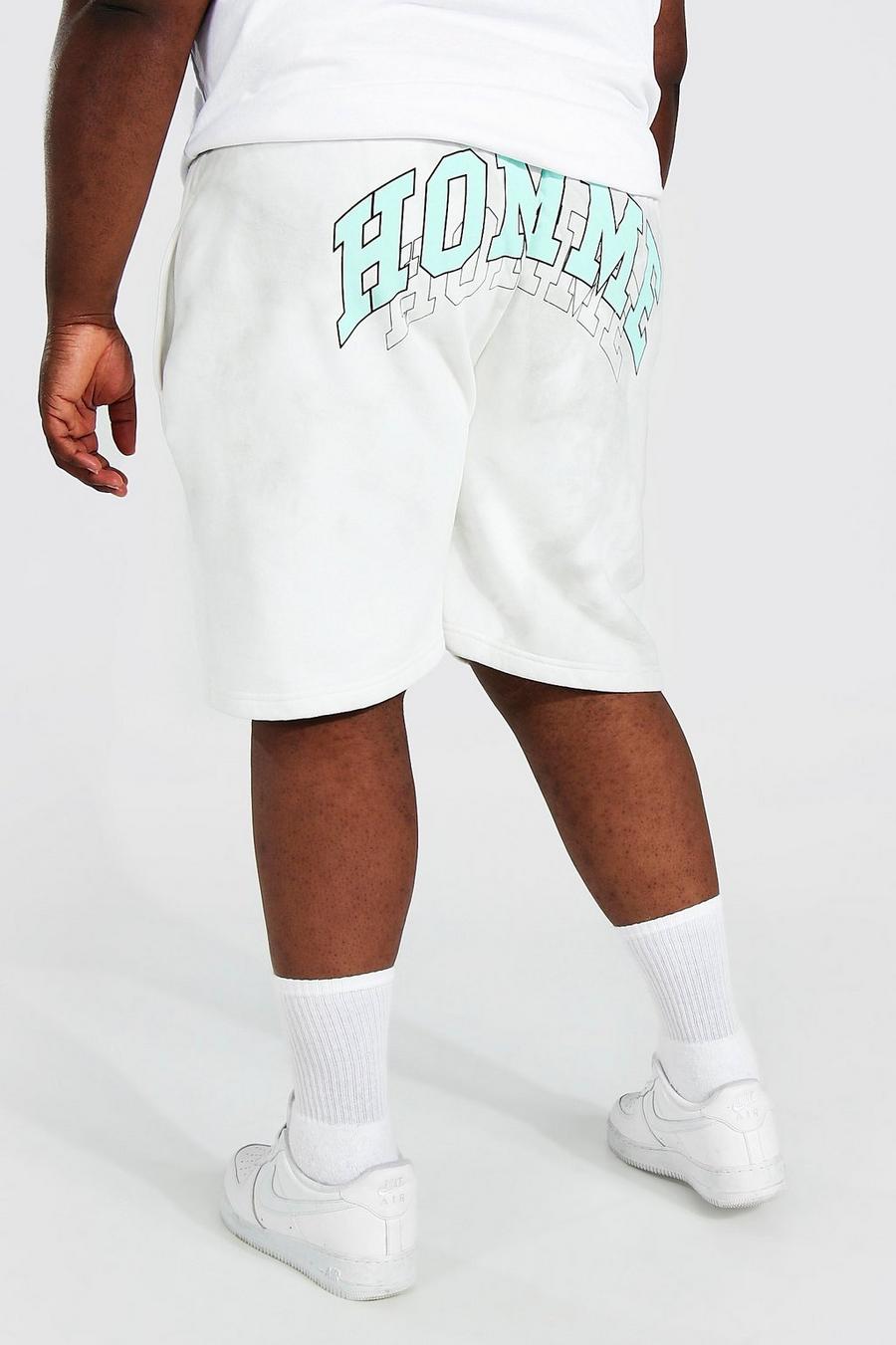 Multi Plus Size Ombre Tie Dye Jersey Shorts image number 1
