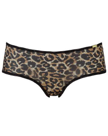 Glossies Leopard Short - Multi Multi