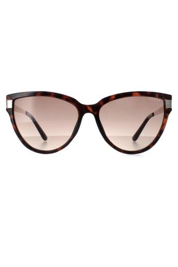 Cat Eye Dark Havana Brown Gradient GF6177 Brown