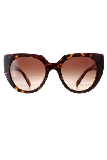 Cat Eye Tortoise Brown Gradient PR14WS Brown