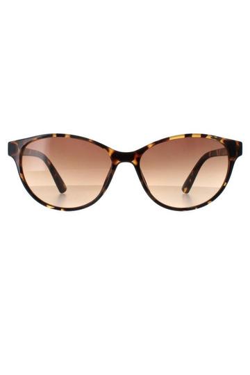 Cat Eye Tortoise Brown Gradient CK20517S Brown