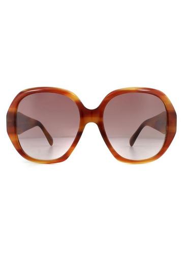 Square Havana Red Gradient Sunglasses Brown