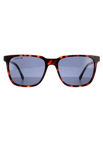 Square Havana Red Solid Blue Sunglasses Brown