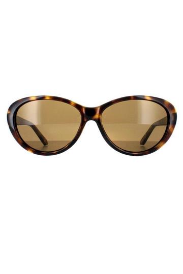 Brown Oval Havana Brown Gradient TB1315 Cougar