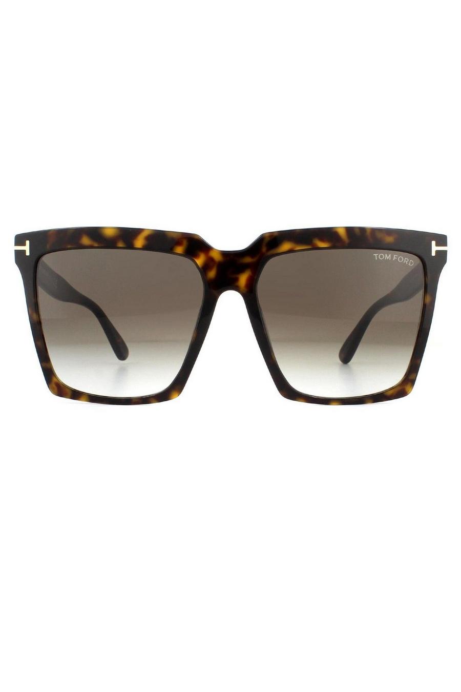 Square Dark Havana Roviex Brown Gradient Sunglasses