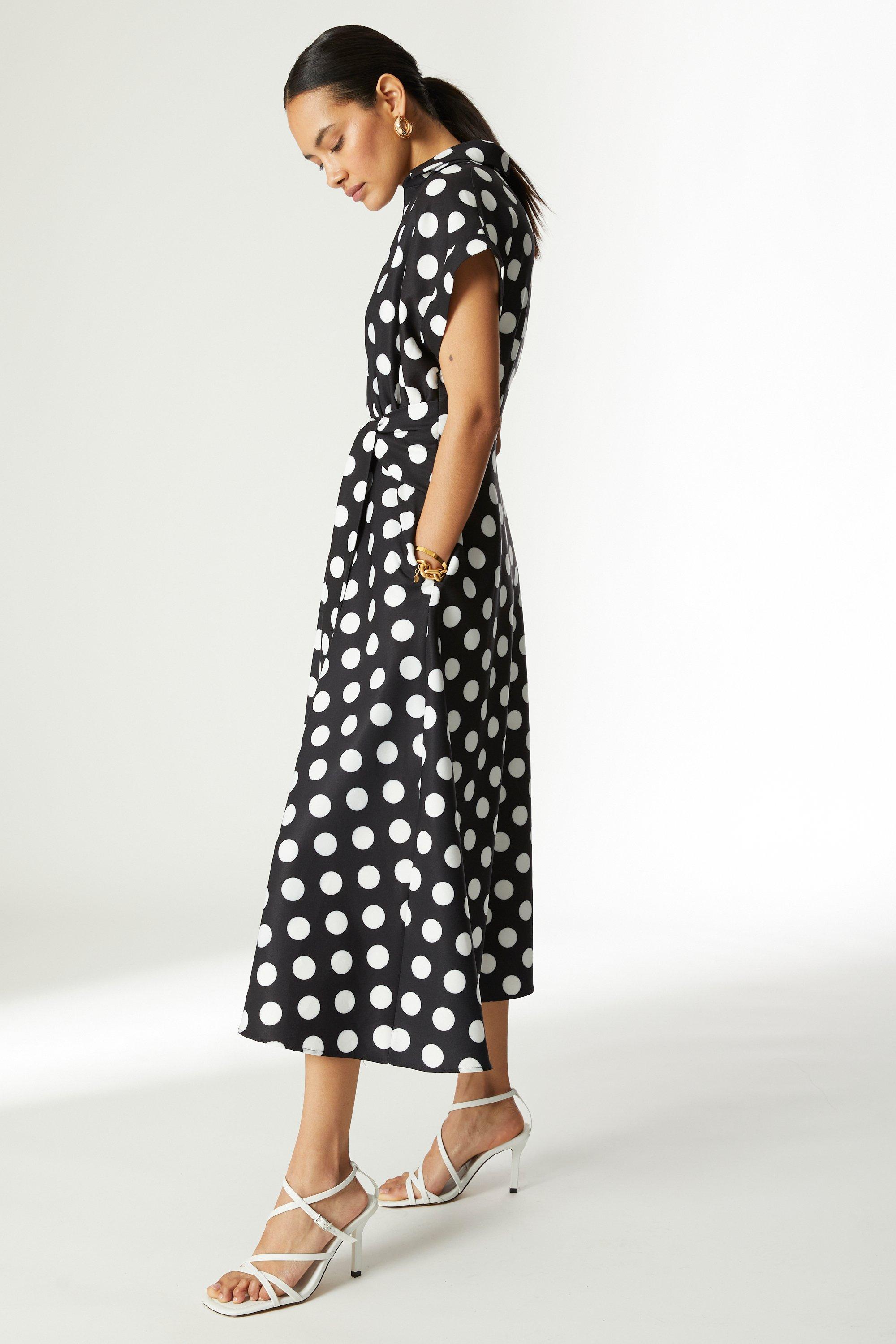 Principles Petite Occasion Spot Fit & Flare Midi Dress | Debenhams